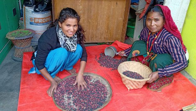Las ventas de los frijoles de Jumla se han elevado gracias a una etiqueta en la que se explica su trasfondo y el negocio augura un buen futuro para Lalita y su familia. Foto: Organic World y Fair Future Pvt