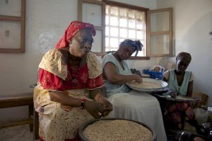 Un pequeño pero creciente número de mujeres encabezan emprendimiento agroalimentarios de variadas escalas en África, que en algunos casos producen innovadores y reconocidos productos destinados a combatir la desnutrición, en particular la infantil. Foto: Jeff Haskins / IPS