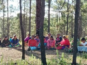Una reunión de mujeres de Bosques de San Elías Repechique, el municipio de Bocoyna, en el norteño estado de Chiahua, en México. Foto: Patricia Mayorga