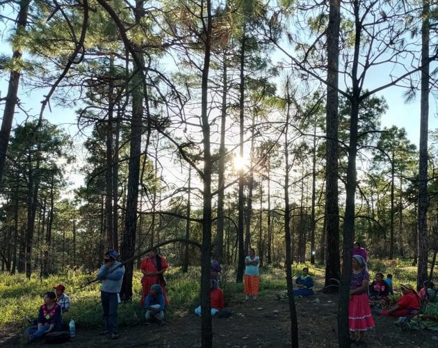 Una reunión de mujeres de Bosques de San Elías Repechique. Foto: Patricia Mayorga