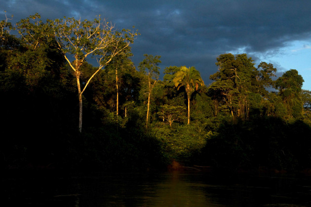 El Panel Científico para la Amazonia pretende proponer políticas para evitar que esta región llegue a un “punto de no retorno”. Foto: Esteban Suárez/SciDev.net