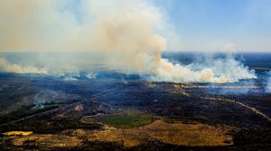 Imagen aérea de uno de los incendios en Poconé, el municipio más afectado en las entradas al norte del Pantanal, en el estado de Mato Grosso. Los incendios en el Pantanal empezaron más temprano este año, por la fuerte sequía, que se ceba con el mayor humedal del mundo desde 2019. Foto: Mayke Toscano/Sema-Fotos Públicas