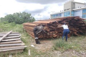 nspecciones en la Reserva Ecológica Mache Chindul, en la provincia de Esmeraldas, llevaron al decomiso de madera talada ilegalmente en el área protegida el 5 de junio 2020. Foto: Policía Ecuador