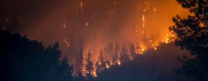Un incendio en el parque nacional Klamath, en California, en Estados Unidos, muestra del impacto del calentamiento del planeta, que sigue indetenible a pesar del cierre de muchas actividades por la pandemia covid-19. Foto: Matt Howard/Unplash