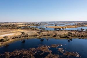 Vista parcial del delta del Okavango, el mayor del mundo donde un río desemboca en el interior del territorio y no en el mar. En este gran territorio en forma de abanico donde termina el río Okavango en Botswana, un país sin salida al mar, fue donde murieron entre marzo y junio entre 350 y 700 elefantes, según las diferentes versiones. Foto: Wikimedia