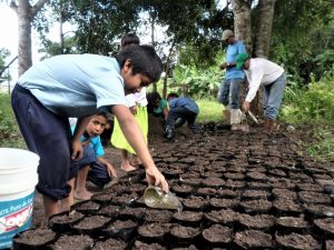 Indígenas Kariña crean viveros con plantas destinadas a reforestar zonas degradadas por la minería y la tala en la reserva forestal de la Sierra de Imataca en Venezuela.
