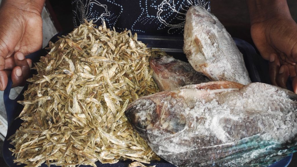 Pescado seco vendido en mercados refleja la amenaza a la sustentabilidad alimentaria en Zimbabwe.