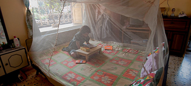 Una niña lee protegida por tela metálica tratada con insecticida contra mosquitos transmisores de malaria. La lucha por prevenirla se mantiene, pero la OMS teme por déficits en auxilios con medicamentos para tratar a los ya enfermos. Foto: Joydeep Mukherjee/OMS