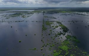 El ecosistema nunca se recuperó de la desforestación en Hopelchén.