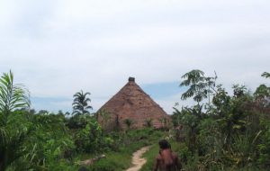 Iglesias evangélicas socavan tradiciones ancestrales de pueblos indígenas de la Amazonia.