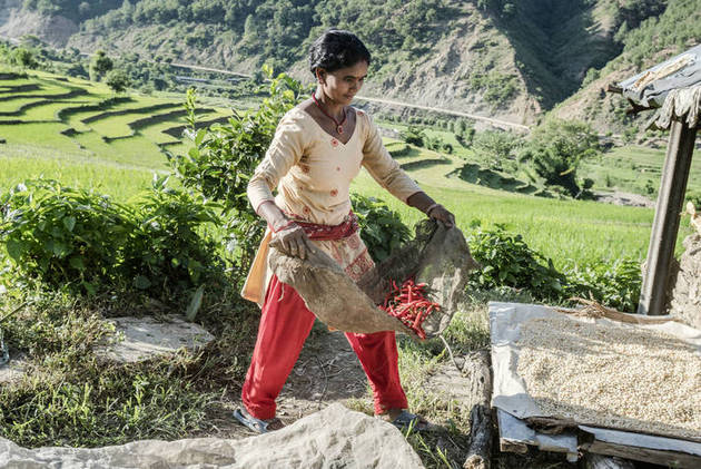 Una mujer campesina trabaja en una zona del montañoso Nepal. A pesar de que la agricultura es una actividad central en la vida de los habitantes de zonas rurales de montaña, más de 300 millones de ellos sufren insuficiencia alimentaria. Foto: Chris Steele-Perkins/FAO