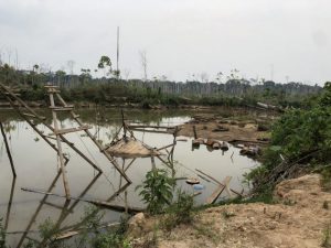 Estanque artificial creado cuando la lluvia llenó un pozo abandonado de extracción de oro en la Amazonia peruana. Foto: Melissa Marchese, Universidad de Duke/EurekAlert