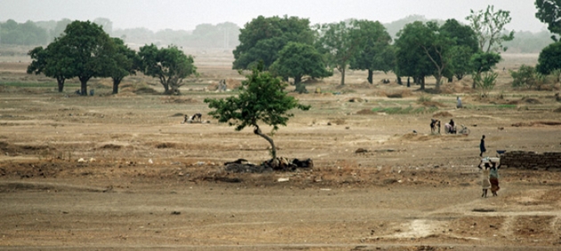 Lecho de un río seco cerca de Uagadugú, la capital de Burkina Faso, un área de tierra degradadas como las que contemplan los programas de restauración de paisajes y apoyo a la agricultura sostenible del Banco Mundial y la Unión Africana. Foto: Kay Muldooon/ONU