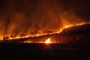 La falta de lluvias estuvo detrás de los incendios en 2020 de la parte brasileña del Pantanal, el mayor humedal del mundo, en un fenómeno que forma parte del cambio climático. Foto: Alamy/Diálogo Chino