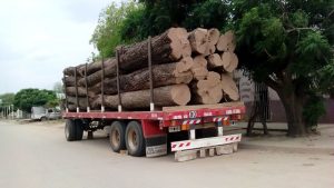 Un camión cargado con troncos de árboles nativos recién cortados en la localidad de Miraflores, en la provincia de Chaco, en el noreste de Argentina. Los bosques chaqueños son una fuente importante de recursos en una de las regiones con mayor pobreza del país y parte de la madera extraída proviene del desmonte realizado por productores agropecuarios. Foto: Daniel Gutman /IPS