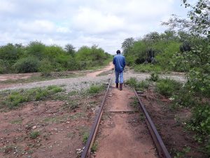 Un hombre camina por una vieja y abandonada vía ferroviaria en una zona rural del Chaco argentino donde la mayor parte del bosque nativo ha sido desmontado. En esta región se concentra el grueso de las casi 180 000 hectáreas de bosque que, según datos oficiales, se pierden cada año en Argentina. Foto: Daniel Gutman /IPS