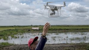 Expertos en agricultura de Filipinas, uno de los países en desarrollo que mejor aplica tecnologías de vanguardia, según la Unctad, utilizan drones para recopilar datos visuales sobre cultivos de arroz en la zona de Pampanga, al centro de la isla de Luzón. Foto: Veejay Villafranca/FAO