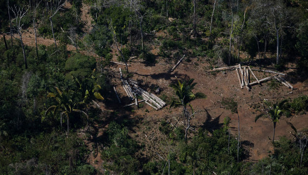 La aplicación de multas ambientales por deforestación ilegal en Brasil se redujo en 72 por ciento a pesar del aumento de las tasas de deforestación entre 2019 y 2020. Foto: Amazônia Real/Flickr-Creative Commons