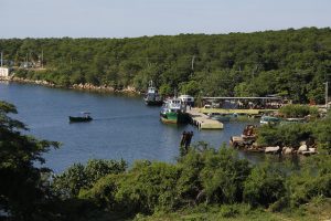 Una pequeña embarcación navega por la bahía de Jagua, en las inmediaciones de la comunidad costera de La Fortaleza, en la central ciudad de Cienfuegos. Las acciones del gobierno de Cuba para fortalecer la resiliencia ante eventos naturales extremos se ven obstaculizadas por malos manejos, como la tala indiscriminada, el vertimiento industrial y de residuos desde las viviendas hacia los ríos y el mar, que aceleran la destrucción de hábitats naturales. Foto: Jorge Luis Baños/IPS