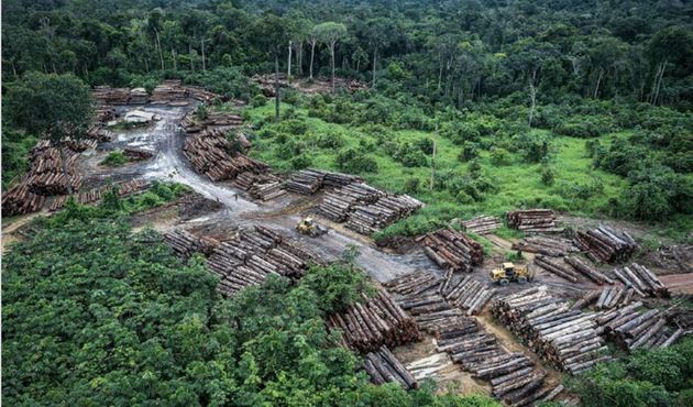 La deforestación, un problema ambiental de dimensiones globales, es sensiblemente menor en las áreas de la Amazonia que son reconocidas como territorios comunales de los pueblos indígenas. Foto: RAISG