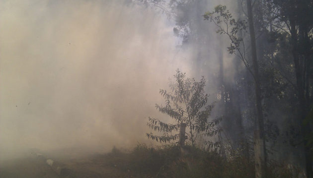 En los últimos años hubo incendios graves en Bolivia, Paraguay y sobre todo Brasil, que aloja 29 por ciento de los bosques tropicales del mundo. Foto: Mark Hillary/Flickr - Creative Commons 2.0