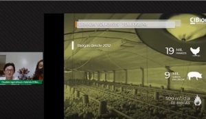 Captura de la ponencia por videoconferencia de Claudete Volkswey en el Foro Sur Brasileño de Biogás y Biometano, con imágenes del aviario en que cría cerca de 19 000 pollos y pollitos. Ella decidió producir biogás en su finca, con un biodigestor alimentado por “los excrementos de oro” de los cerdos que también se crían en su granja, y abandonó el uso del horno de leña, que obligaba a ella o algún otro miembro de la familia a reabastecerlo para que los pollitos recién nacidos no perecieran en noches en ocasiones con temperaturas bajo cero. Foto: Mario Osava / IPS