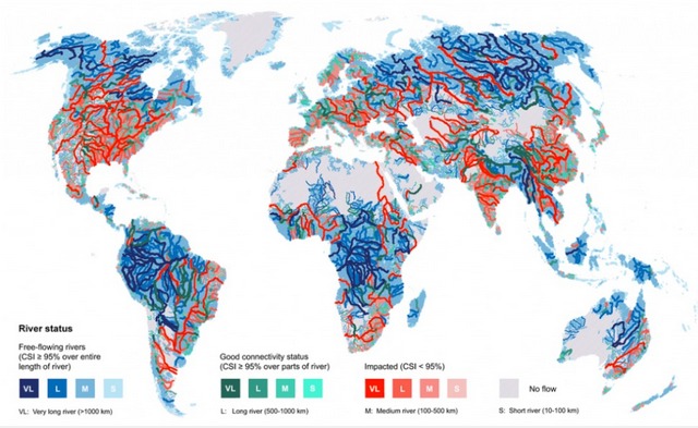 Es fundamental contar con ríos libres. La biodiversidad y los ecosistemas acuáticos dependen de ello. Mapa: PxP