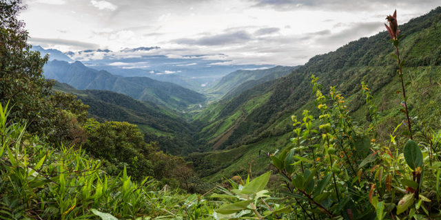 Colinas de los Andes en Colombia, donde ocurre la mayor proporción de ataques a defensores ambientales. Foto: Alamy