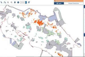 En naranja se observan los cultivos de piña en Costa Rica. Información del Sistema Nacional de Información Territorial