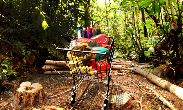 El consumo de muchos productos presentes en el conocidísimo carrito de compras está al final de una cadena de comercialización iniciada con la deforestación de un área de bosque tropical, destaca el Fondo Mundial para la Naturaleza. Collage: WWF