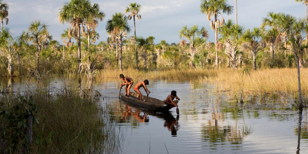 Los pueblos de la cuenca del río Xingu dicen que la actividad agrícola más allá de las fronteras de su territorio ha afectado a las poblaciones de peces. Foto: Alamy