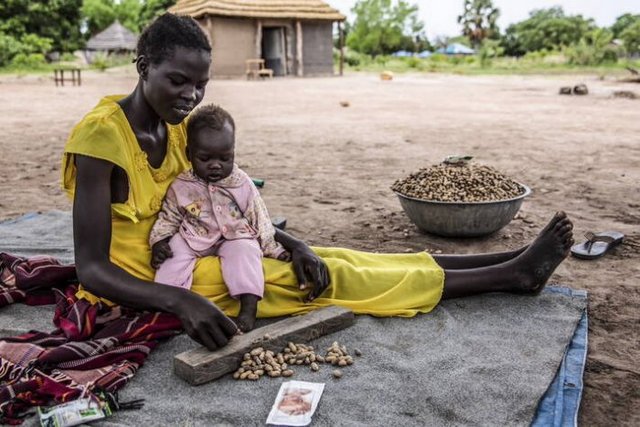 Casi una treintena de países se encuentran ante una inminente crisis alimentaria provocada por la covid. Foto: Stefanie Glinski /FAO