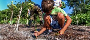 La restauración de los hábitats naturales, como se muestra en la imagen en Cuba, ayudará a frenar el cambio climático. Un nuevo estudio de la ONU dice que las inversiones anuales en soluciones basadas en la naturaleza deberán triplicarse para 2030 y multiplicarse por cuatro para 2050, si el mundo quiere hacer frente con éxito a la triple amenaza de las crisis climáticas, de biodiversidad y de degradación de la tierra. Foto: PNUD
