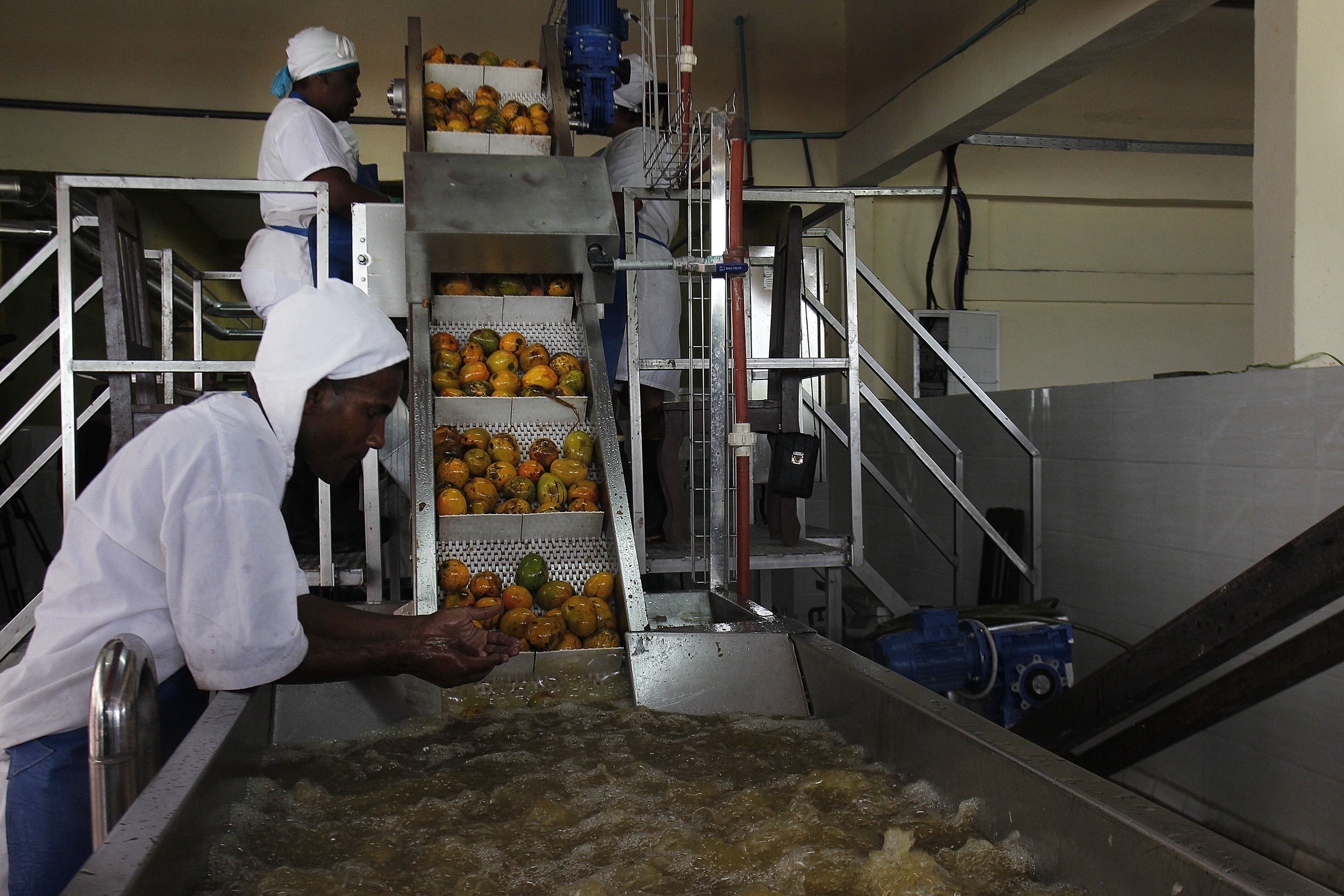 Trabajadores laboran en el procesamiento de mangos para la producción de mermelada, en una mini industria, en el municipio Baracoa, en la oriental provincia Guantánamo, Cuba.13 de junio de 2018. Foto: Jorge Luis Baños/IPS