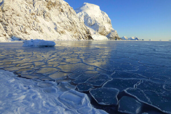 Formación de hielo marino en Bahía Uruguay, en las antárticas islas Orcadas del Sur. Las masas de hielo que se derriten desde las zonas polares son un indicador del calentamiento global que afecta cada vez más severamente al planeta. Foto: Diego Ferrer/OMM