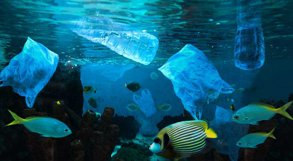 La contaminación plástica crece y el reciclaje se queda atrás