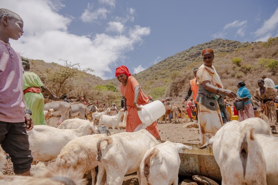 Una mujer sonríe cuando finalmente llega el turno para que las cabras de su familia beban agua en Hula Hula Springs, Kenia. Una nueva alianza mundial cuatripartita trabajará sobre la salud, interrelacionada, de seres humanos, animales, plantas y ambiente. Foto: Billy Miaron/OMS