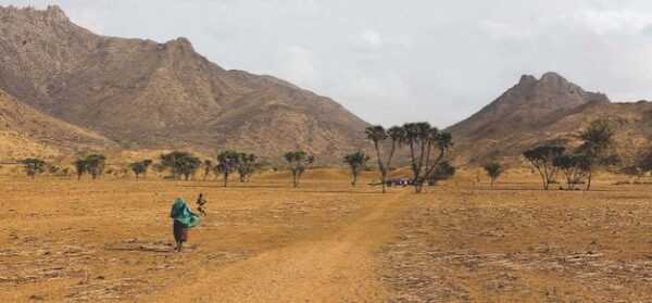 Los conflictos y la sequía en el Sahel afectan el desarrollo de la ambiciosa Gran Muralla Verde de África. Crédito: ONU Chad