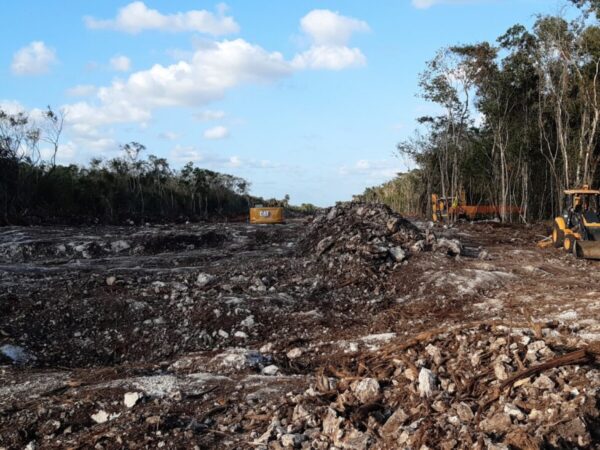 El Tren Maya amenaza a la Selva Maya, la segunda más importante en América por detrás de la Amazonia, sus ecosistemas y comunidades indígenas