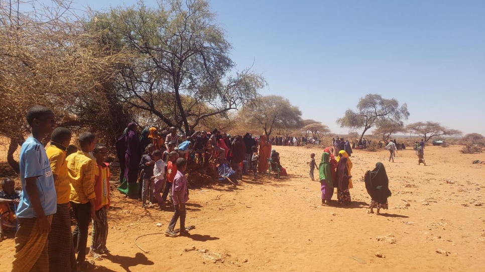 decenas-de-miles-de-refugiados-somal-es-llegan-a-etiop-a