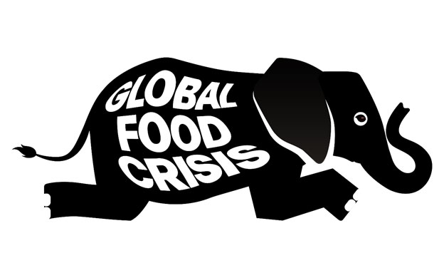 Llamado a una cumbre de la ONU sobre la crisis alimentaria mundial YA