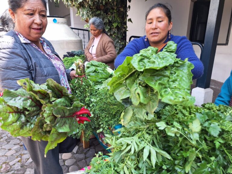Semillas nativas para la biodiversidad al cuidado de mujeres andinas ...