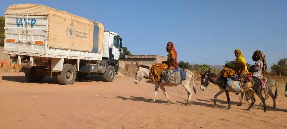 Casi 300 millones de personas enfrentan hambre aguda en el mundo, exactamente en 53 países y territorios, alerta un nuevo informe de la Oficina de Coordinación de Asuntos Humanitarios de las Naciones Unidas, la Ocha.