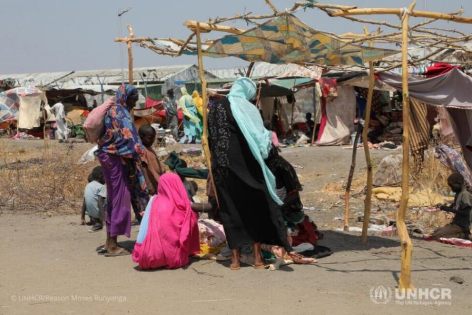 Los conflictos en los Grandes Lagos, el Cuerno de África y los dos Sudán colocan a los civiles ante un desastre humanitario y donde la población tiene pocos lugares en los que refugiarse en esas amplias zonas de África.