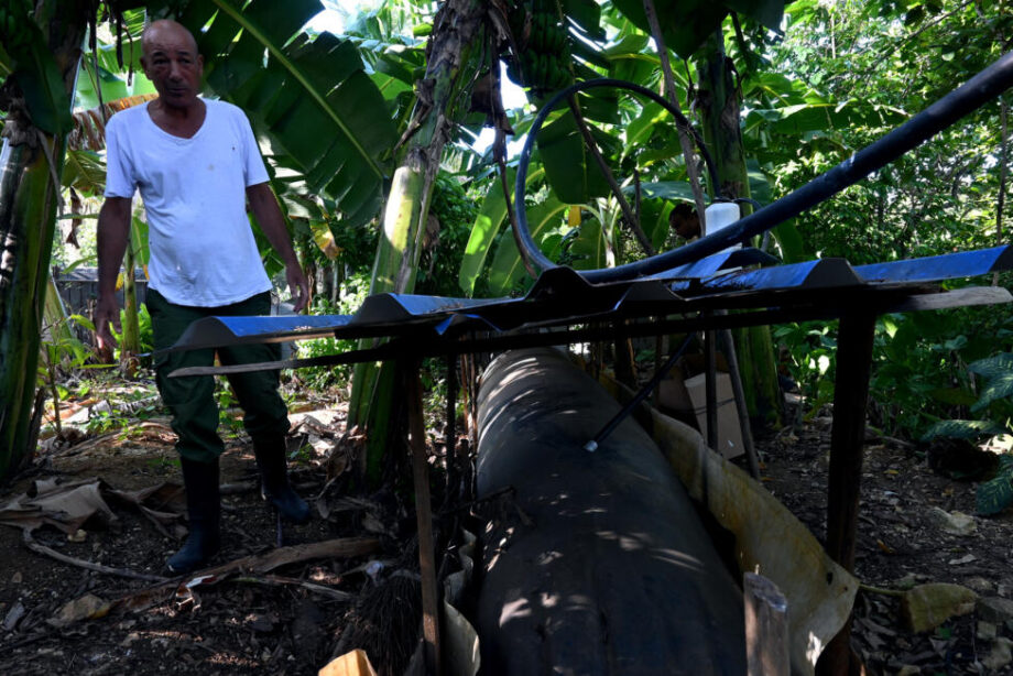 Llega el verano a Cuba, con sus tórridas temperaturas, lo que incrementará la demanda de electricidad para equipos de climatización, mientras prosigue la crisis eléctrica que deja al país con cortes eléctricos cotidianos y sin que energías renovables alivien la situación.