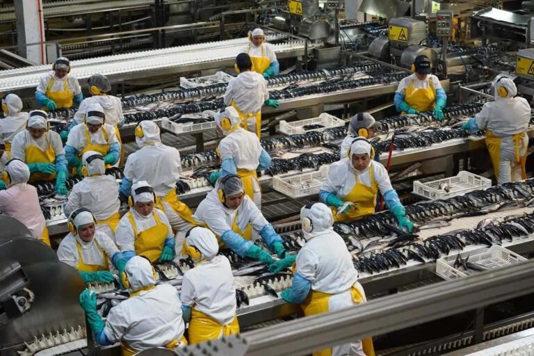 El crecimiento económico de América Latina en 2026 será de 2,2 %, según la Cepal, en un contexto global adverso y de baja inversión